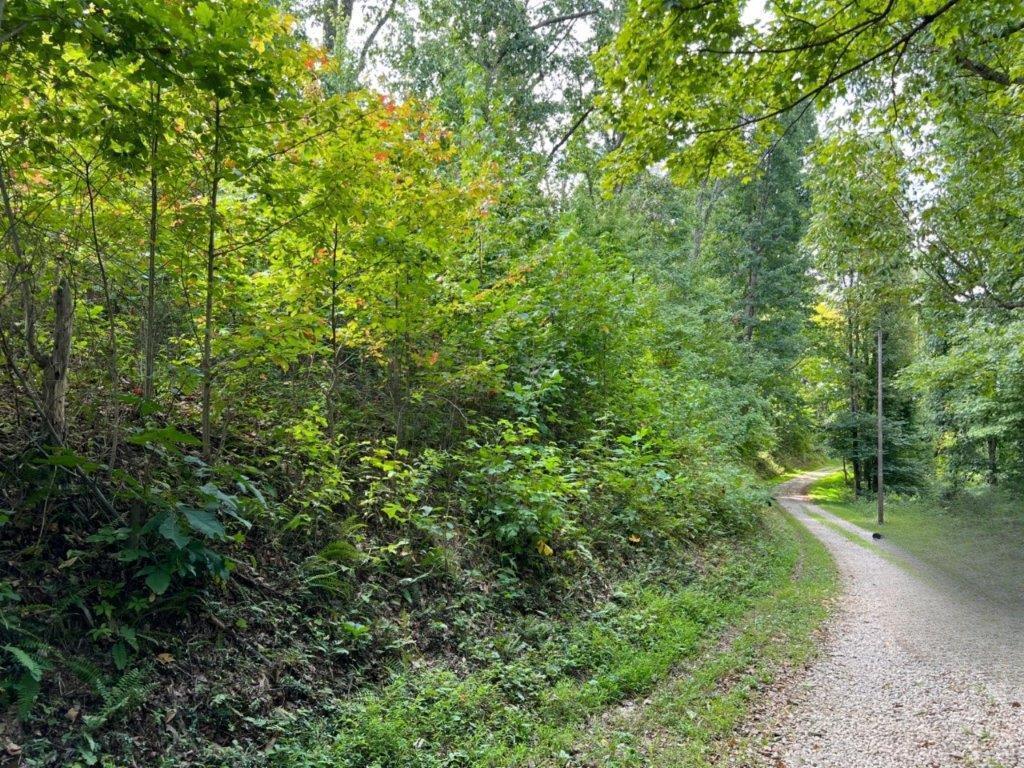 22836 Election Road Property Photo 4