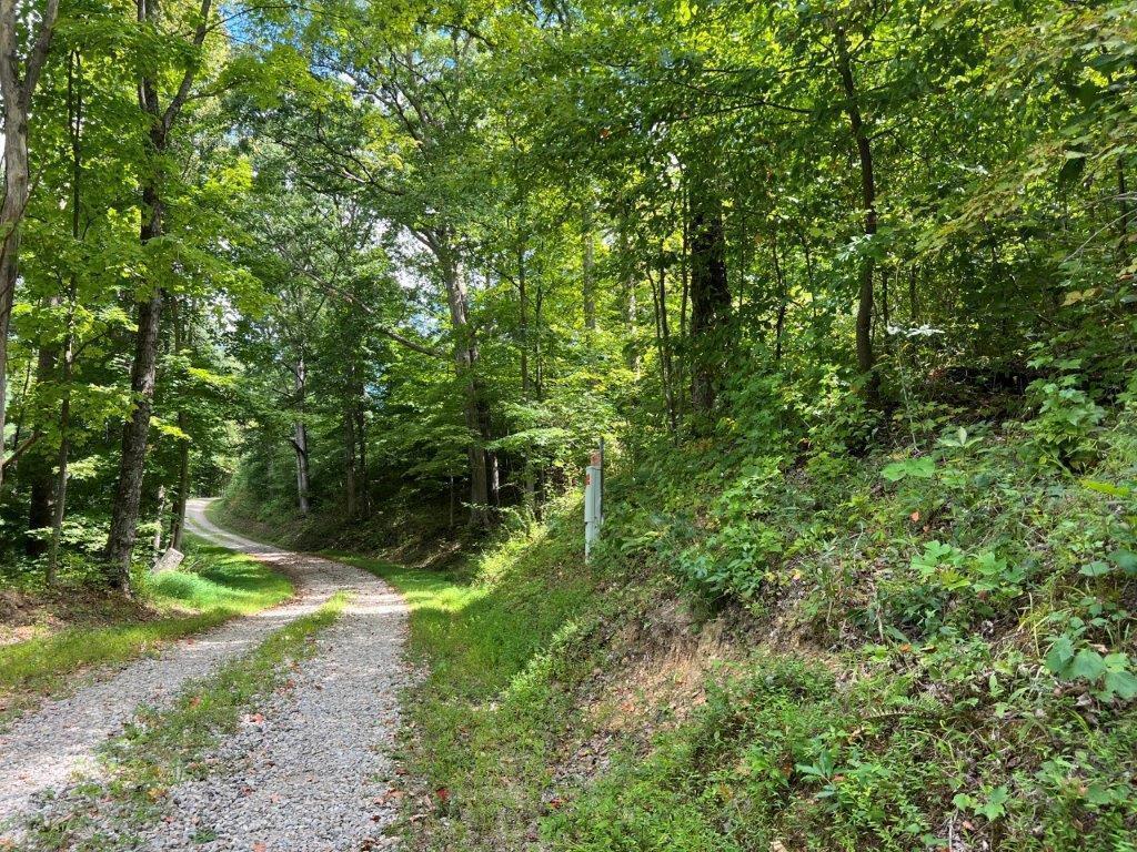 22836 Election Road Property Photo 5