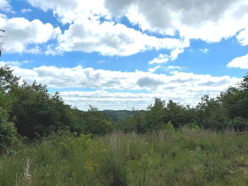 22836 Election Road Property Photo 6