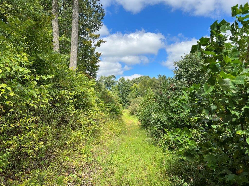 22836 Election Road Property Photo 7