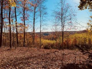 22836 Election Road Property Photo 10