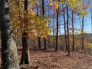 22836 Election Road Property Photo 12