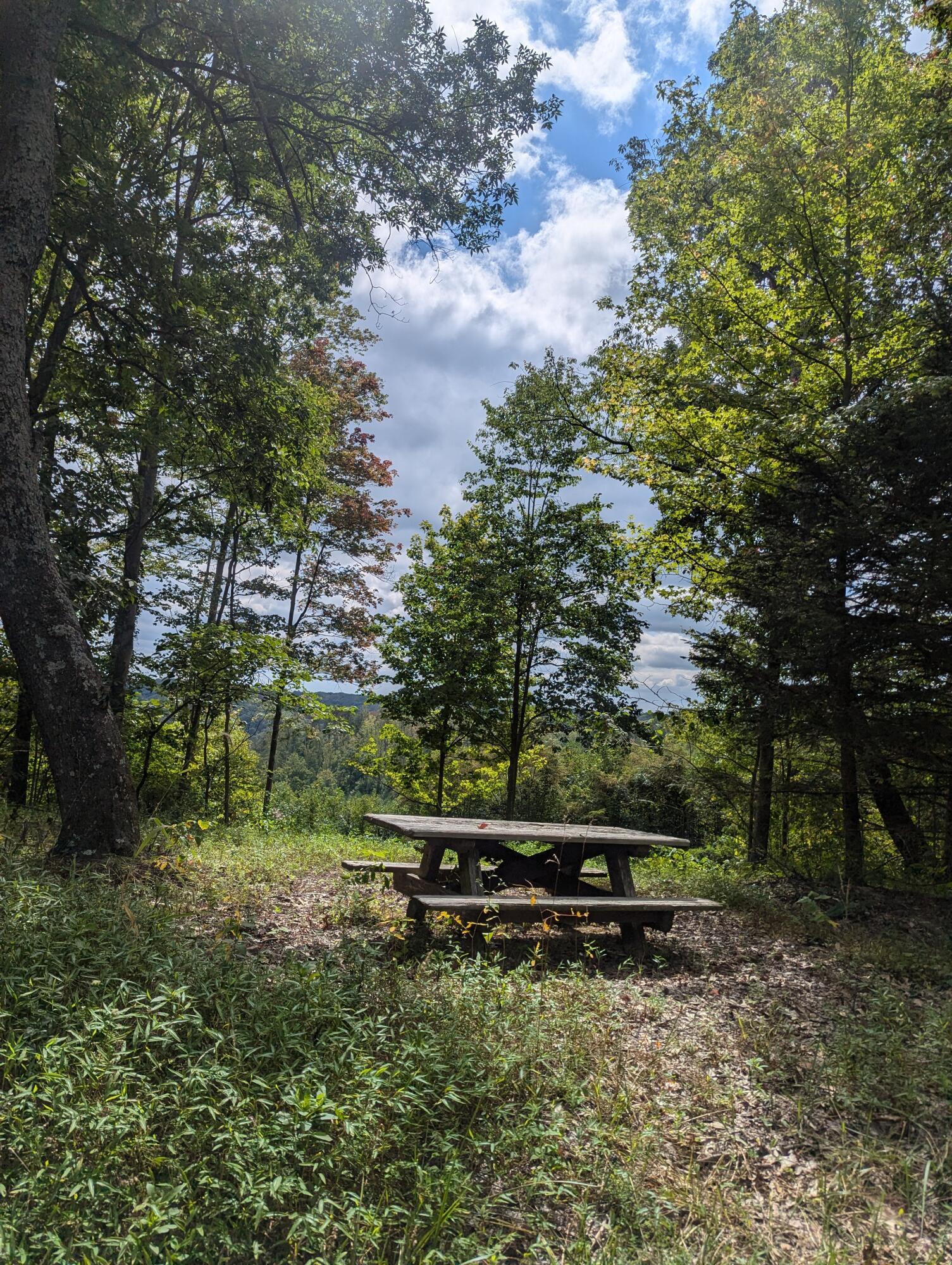 22836 Election Road Property Photo 13