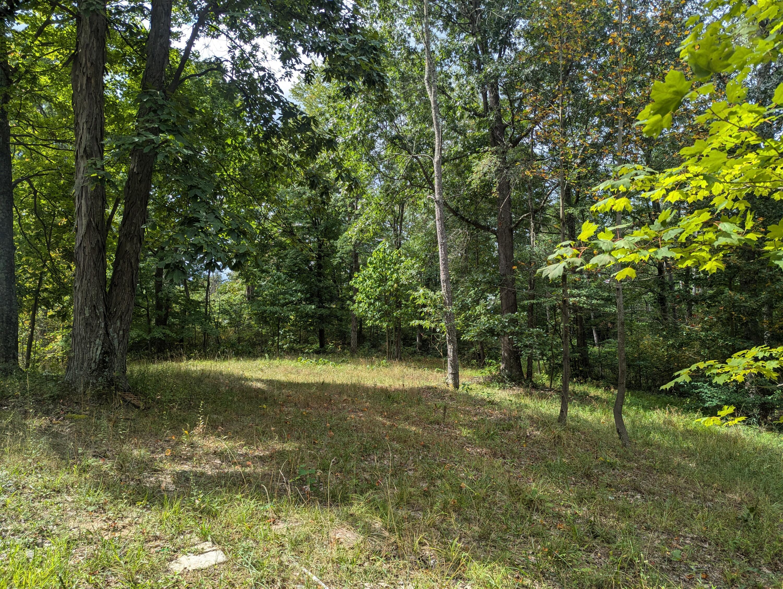 22836 Election Road Property Photo 14