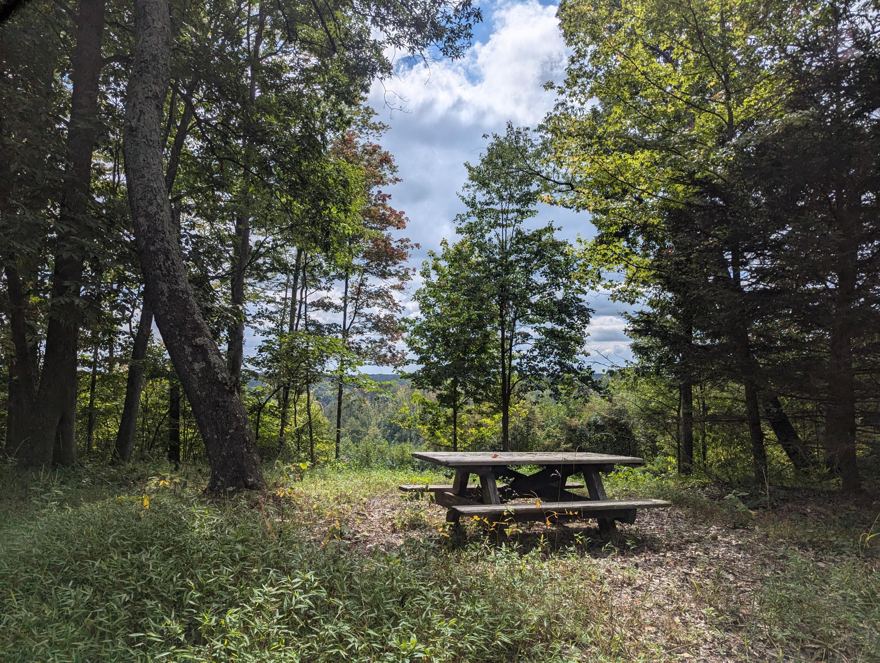22836 Election Road Property Photo 15