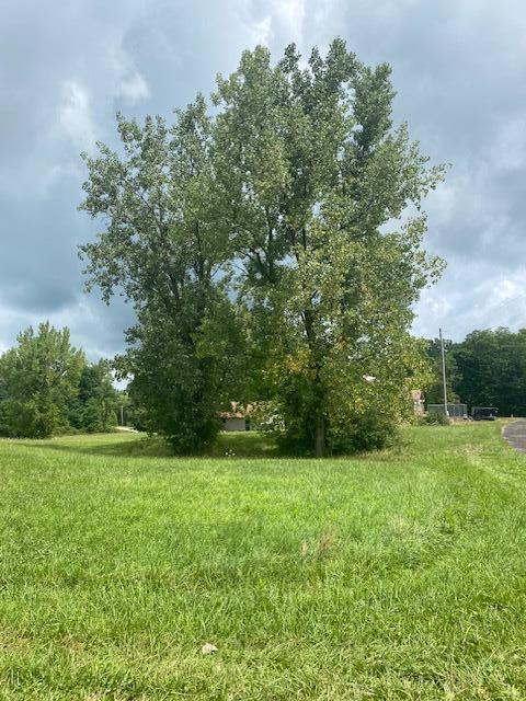 7326 State Route 19, Unit 1 Property Photo 2
