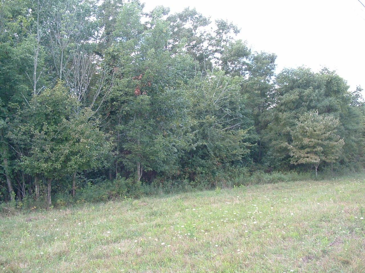 34671 State Route 541 Property Photo 2