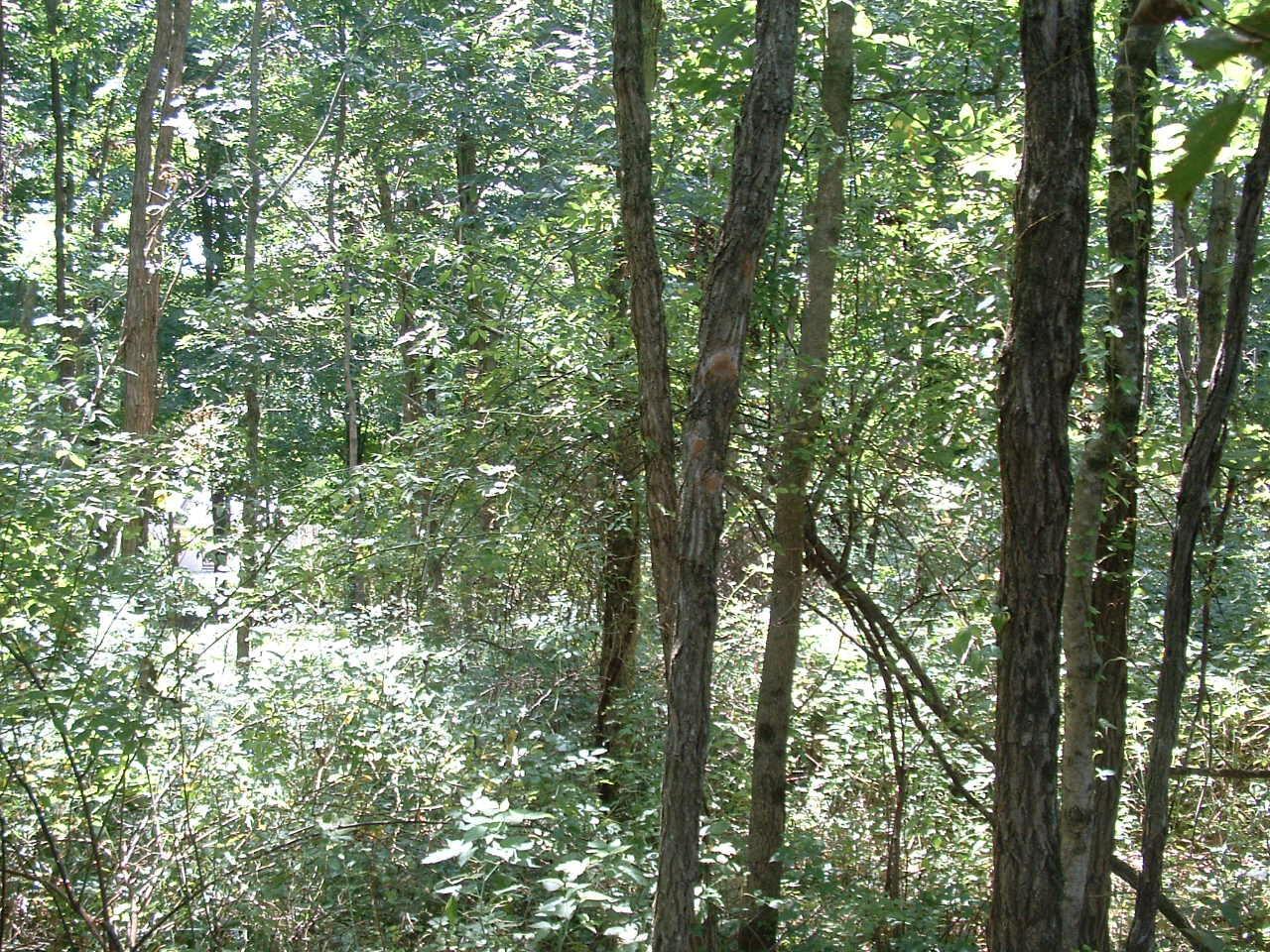 34671 State Route 541 Property Photo 10