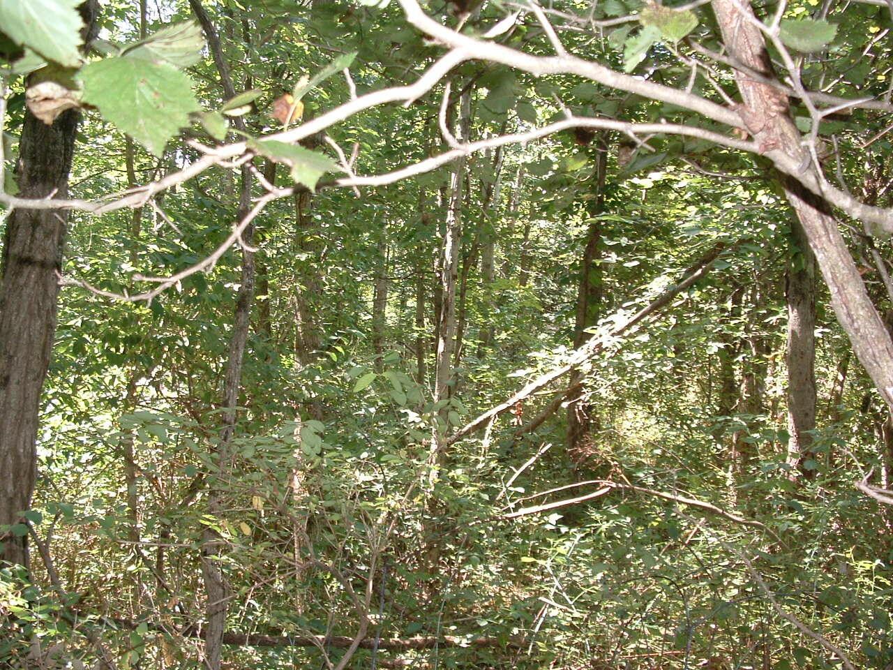 34671 State Route 541 Property Photo 11