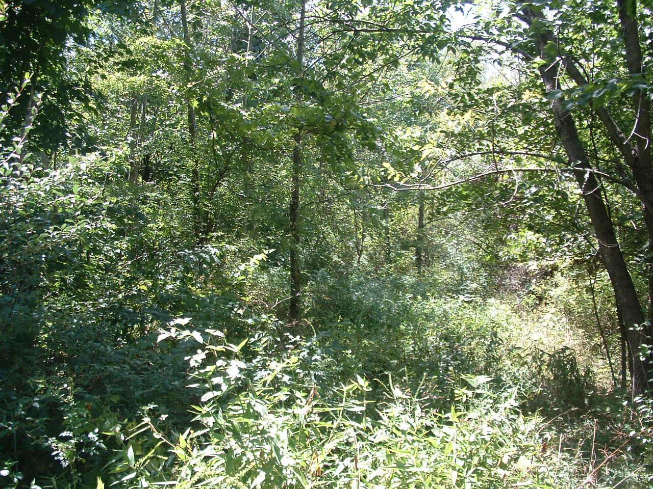 34671 State Route 541 Property Photo 12