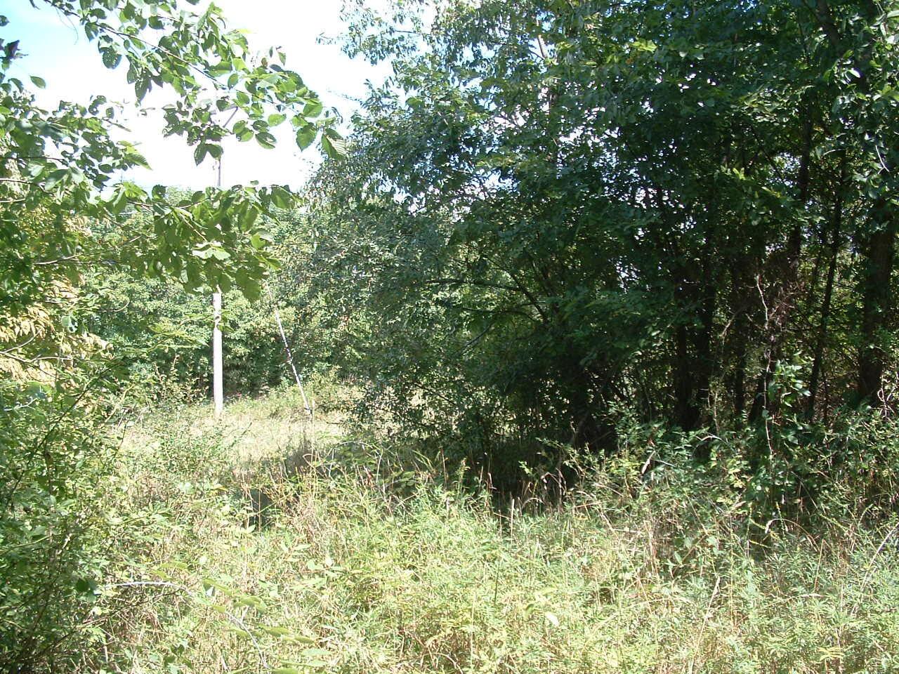 34671 State Route 541 Property Photo 13