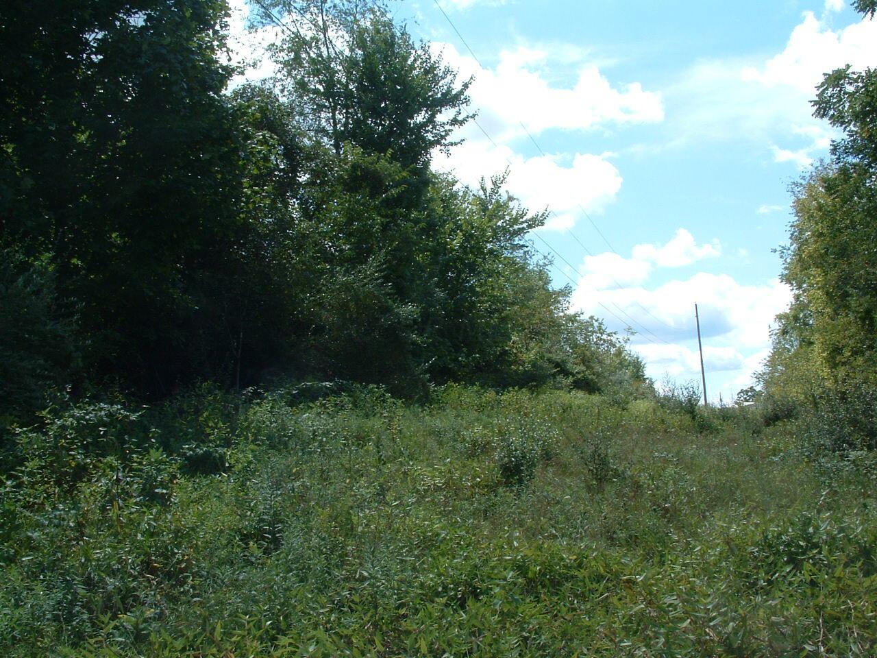 34671 State Route 541 Property Photo 15