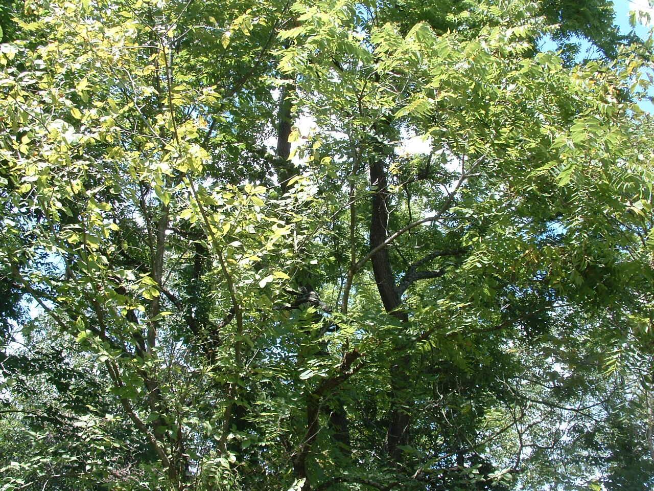 34671 State Route 541 Property Photo 16