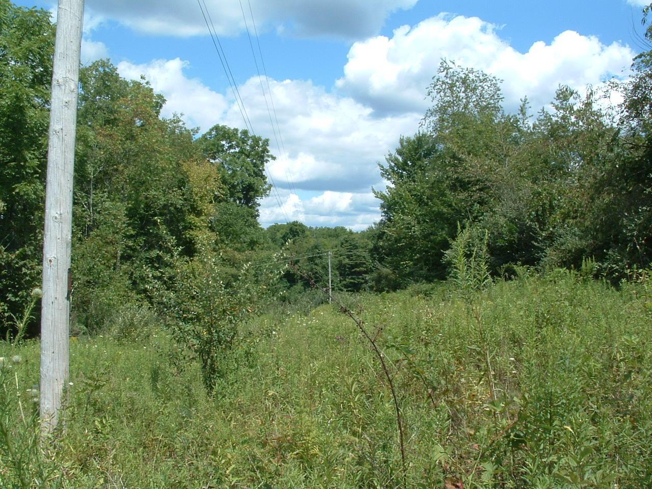 34671 State Route 541 Property Photo 17