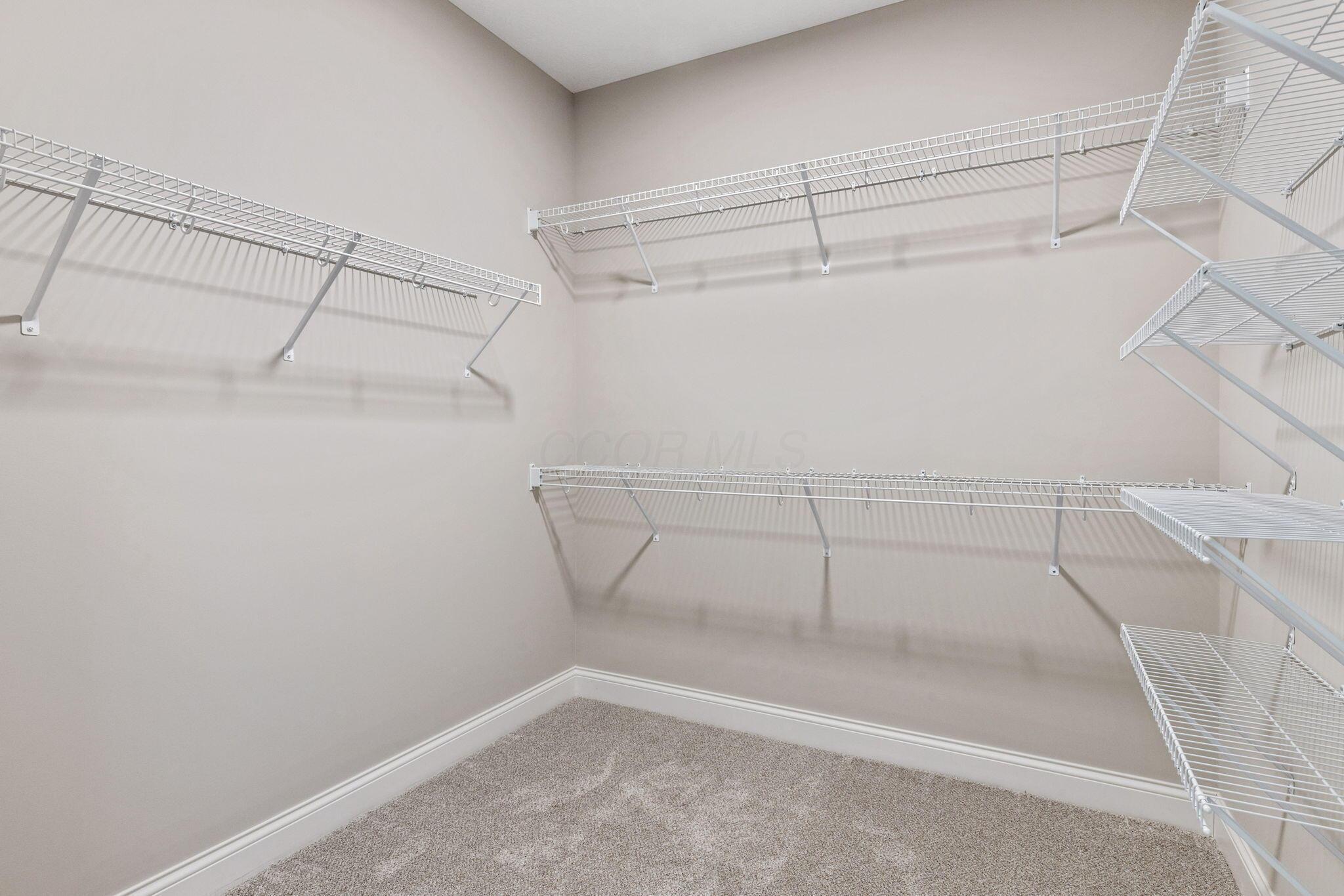1537 Bethel Woods Boulevard Property Photo 29