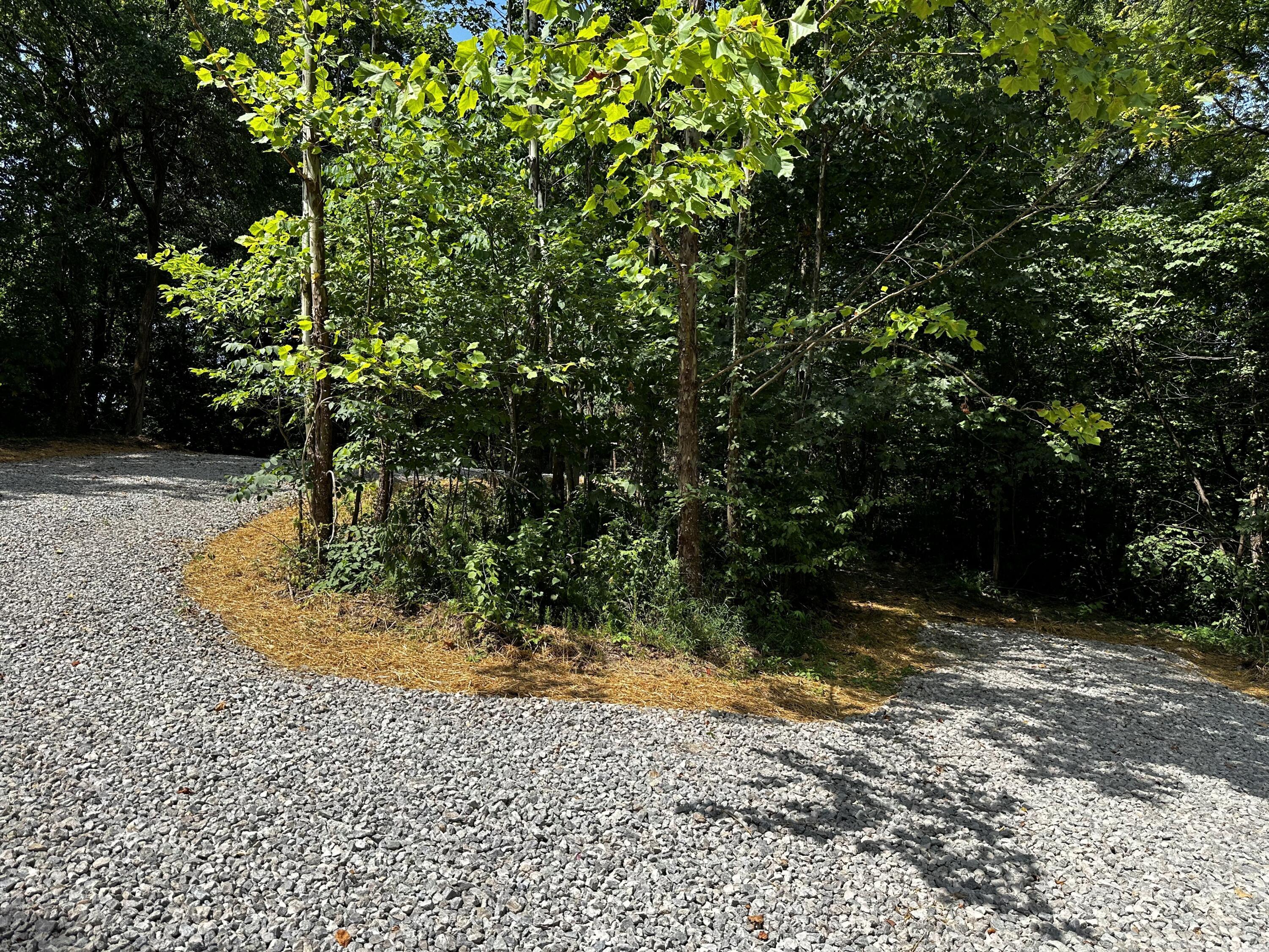 0 Parkinson Road, (tract 6 At Titus) Property Photo 2