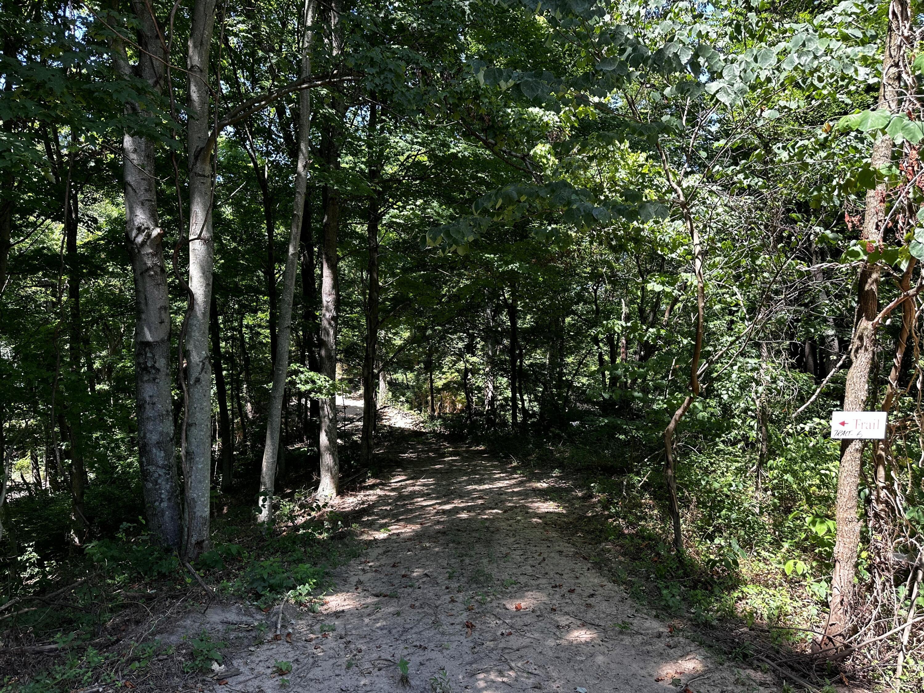 0 Parkinson Road, (tract 6 At Titus) Property Photo 4