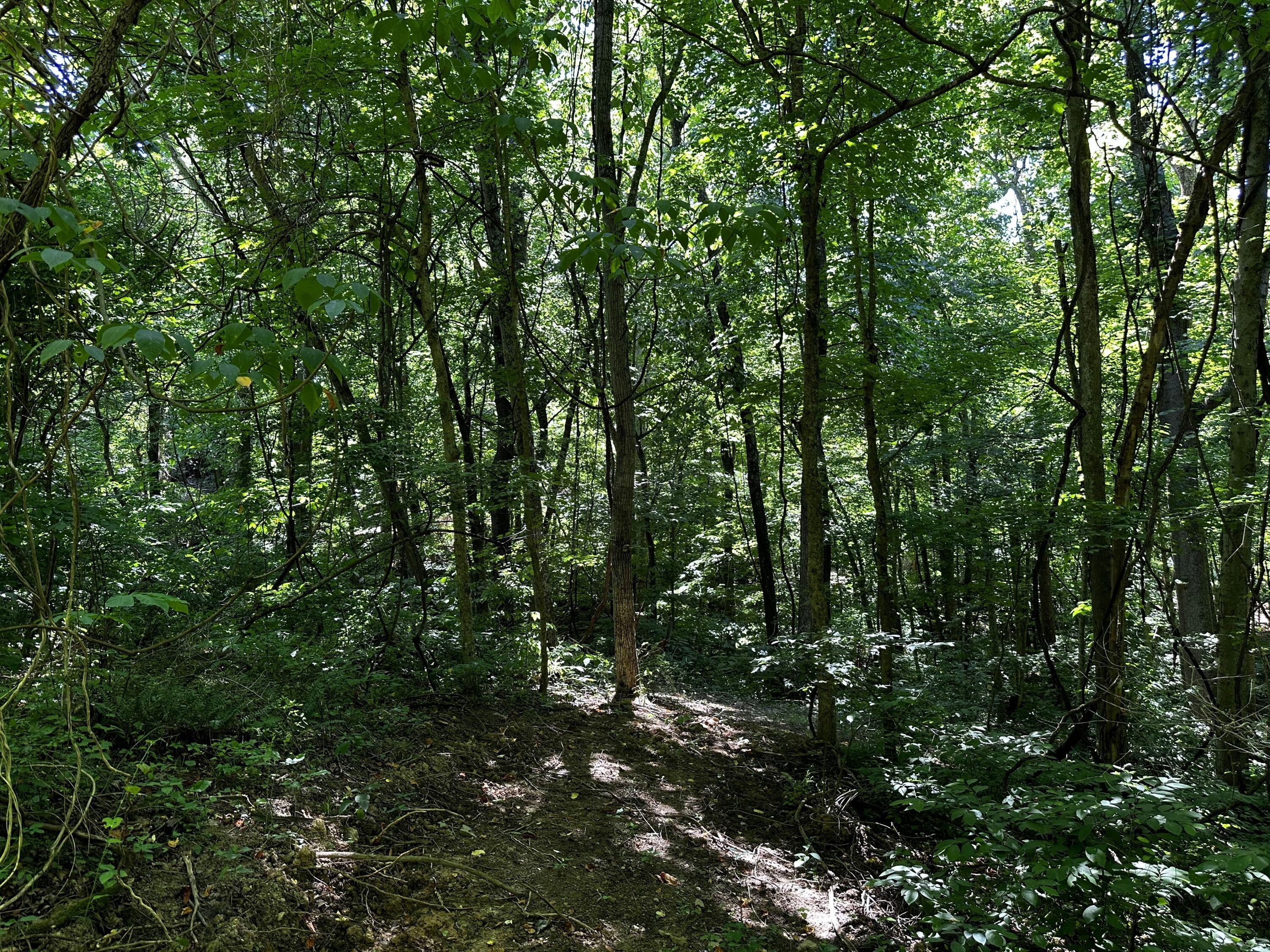 0 Parkinson Road, (tract 6 At Titus) Property Photo 5