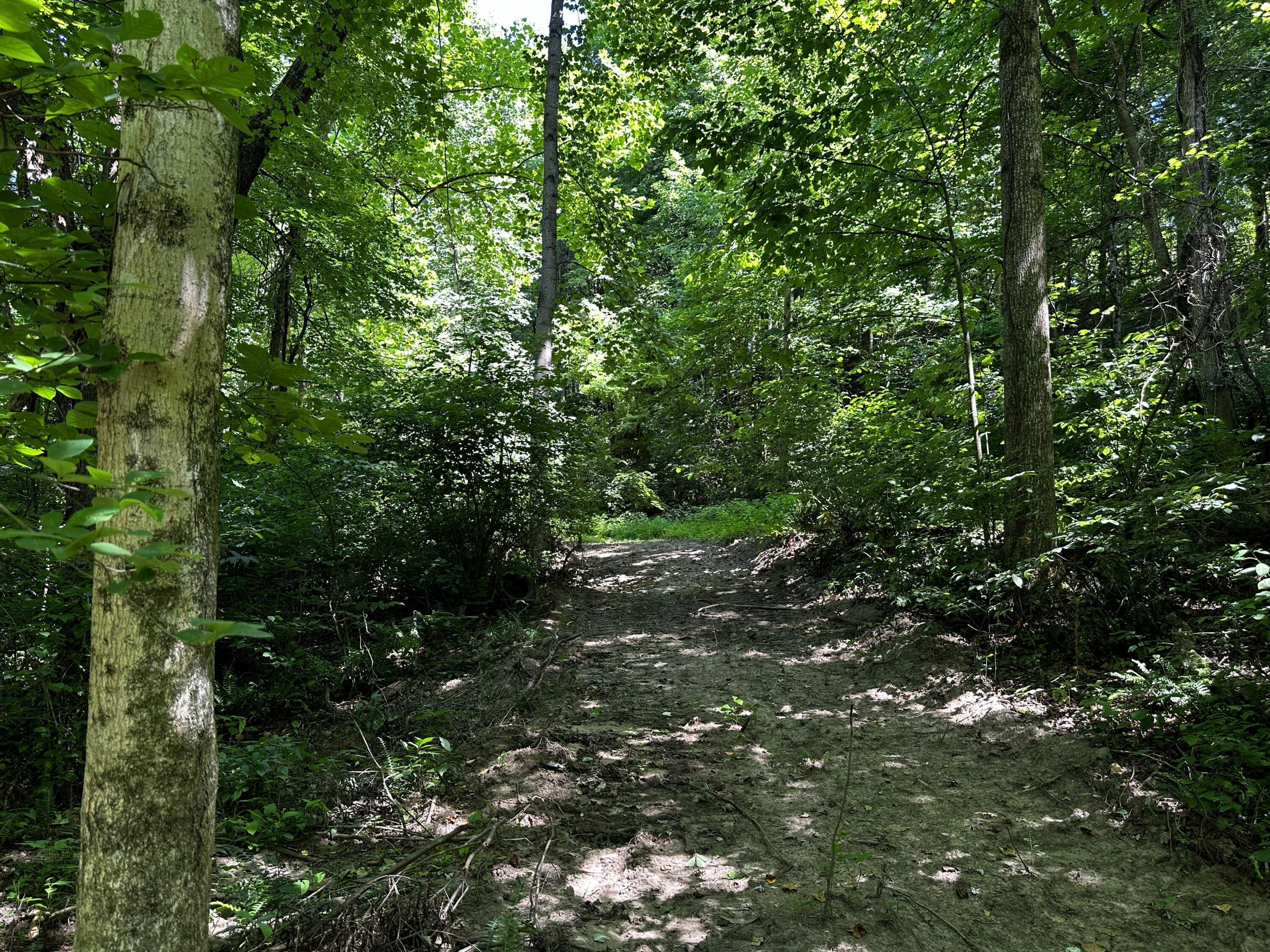 0 Parkinson Road, (tract 6 At Titus) Property Photo 6