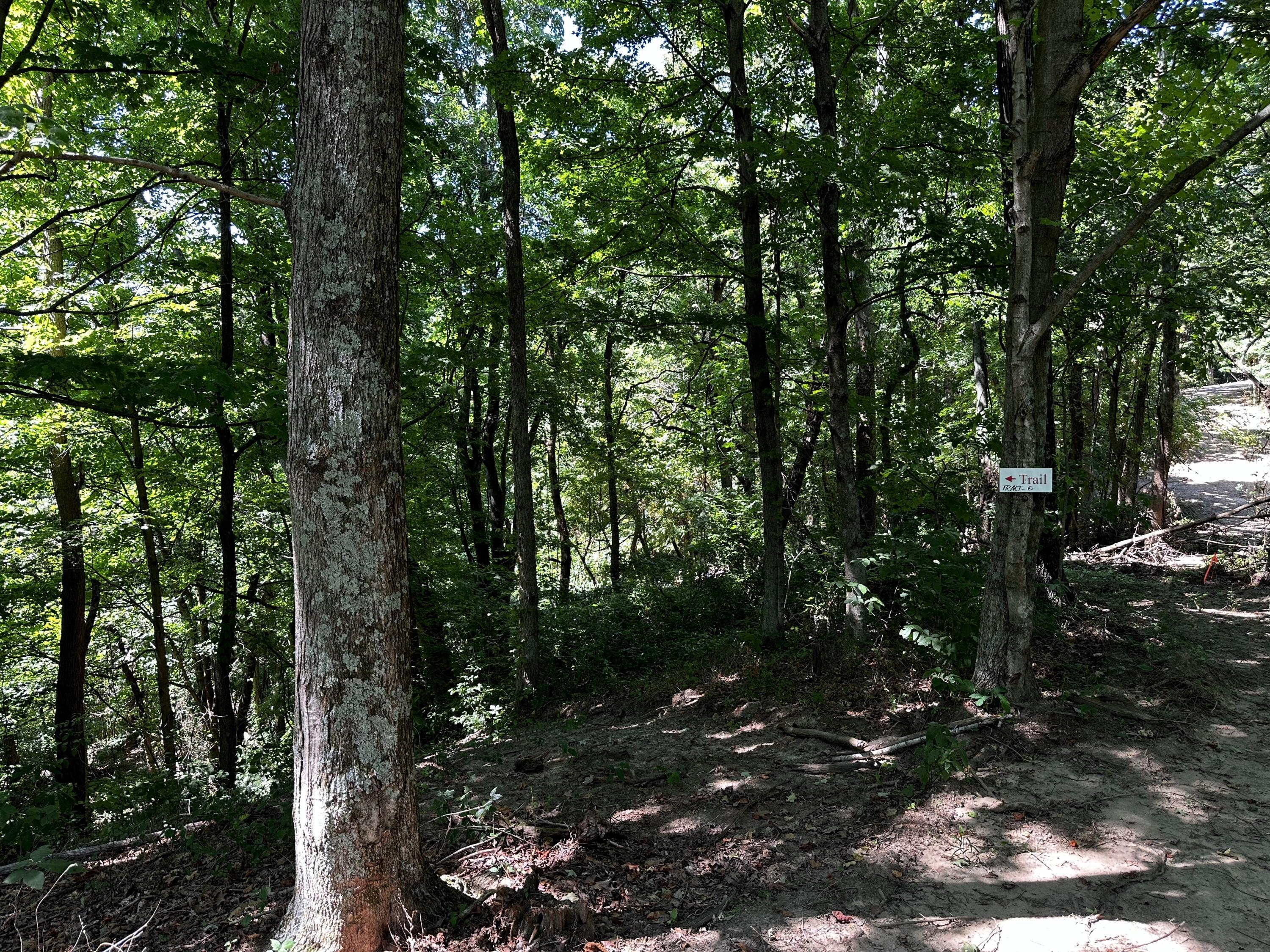 0 Parkinson Road, (tract 6 At Titus) Property Photo 11