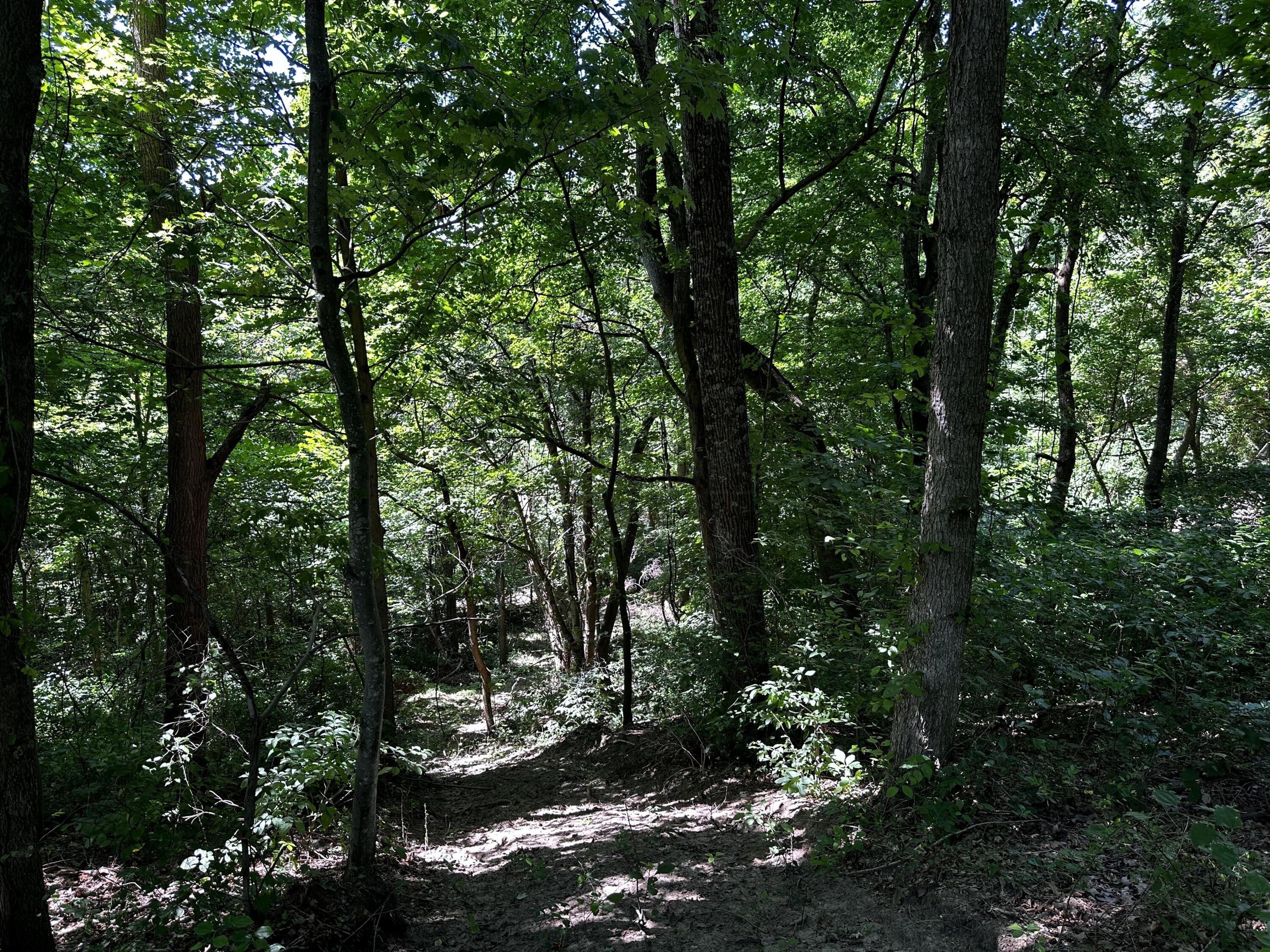 0 Parkinson Road, (tract 6 At Titus) Property Photo 12
