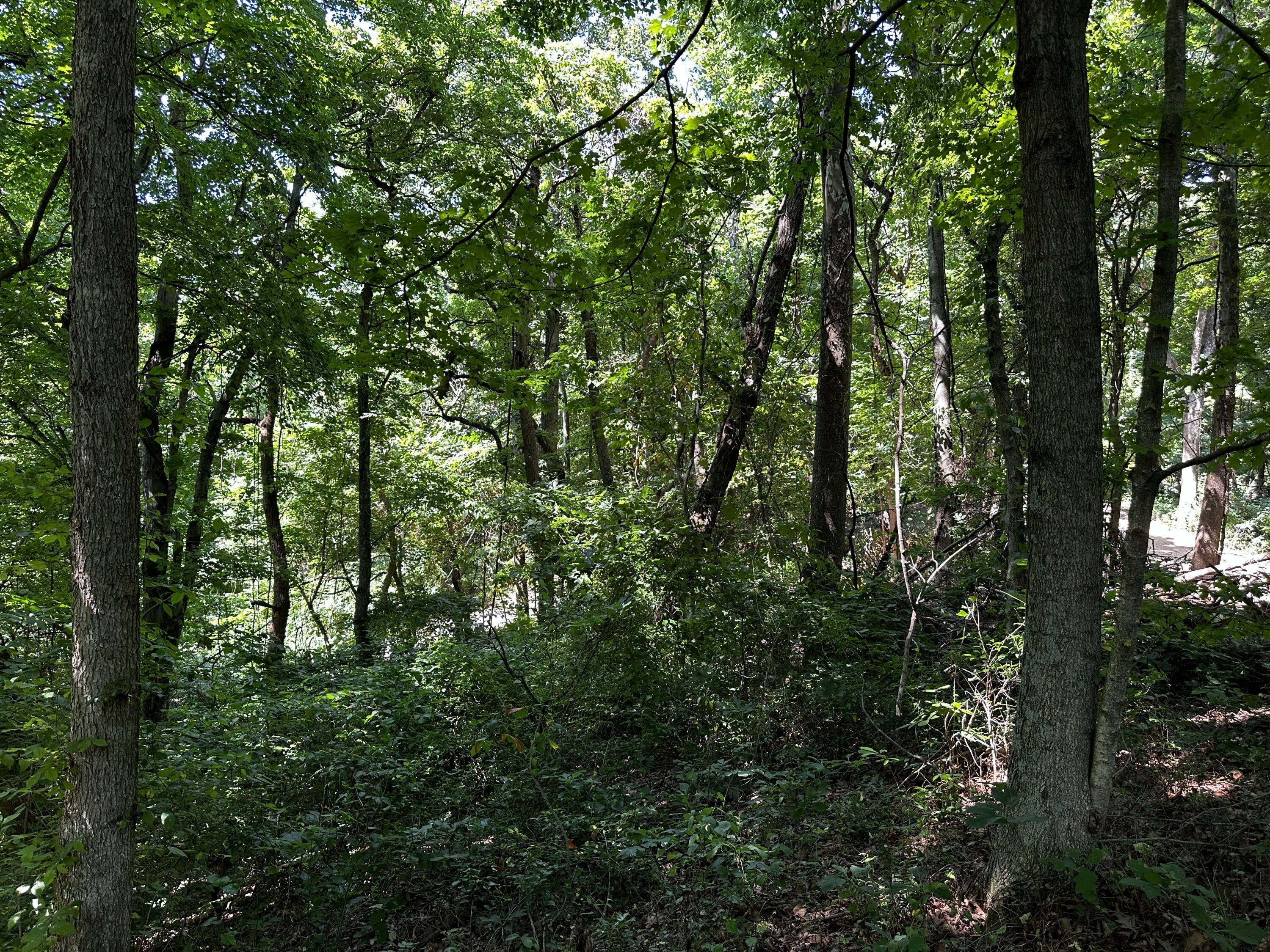 0 Parkinson Road, (tract 6 At Titus) Property Photo 13