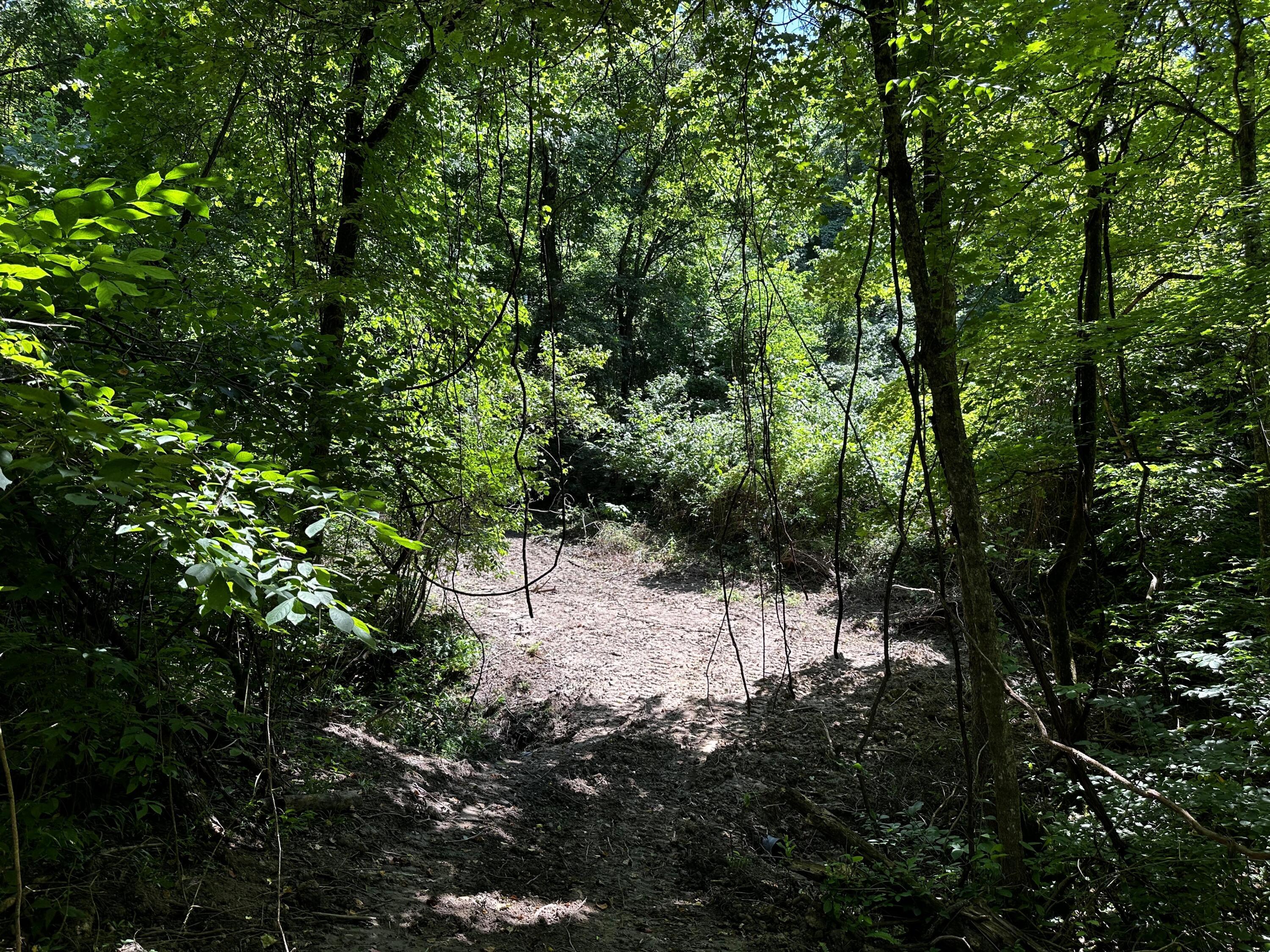 0 Parkinson Road, (tract 6 At Titus) Property Photo 25