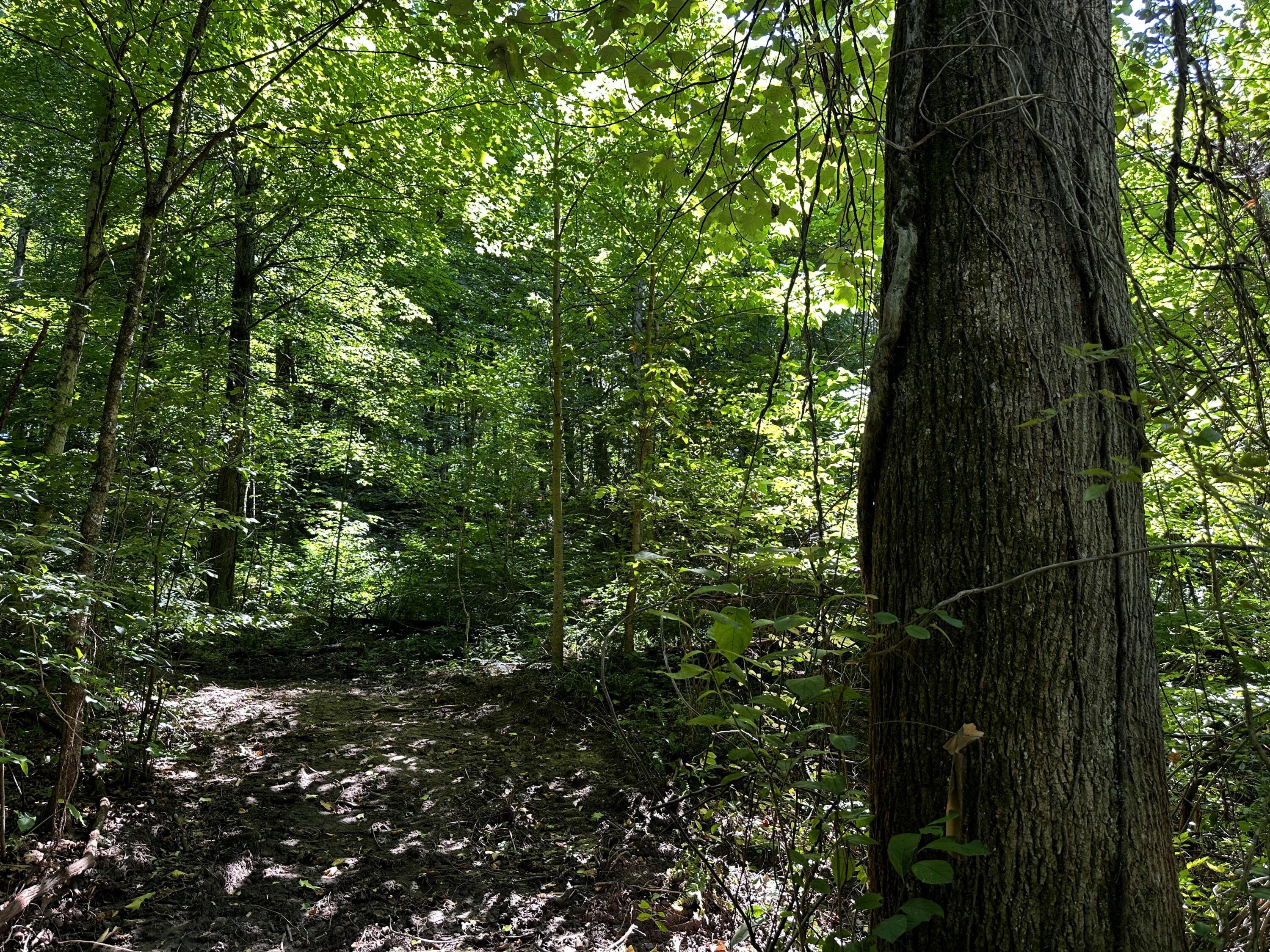 0 Parkinson Road, (tract 6 At Titus) Property Photo 26