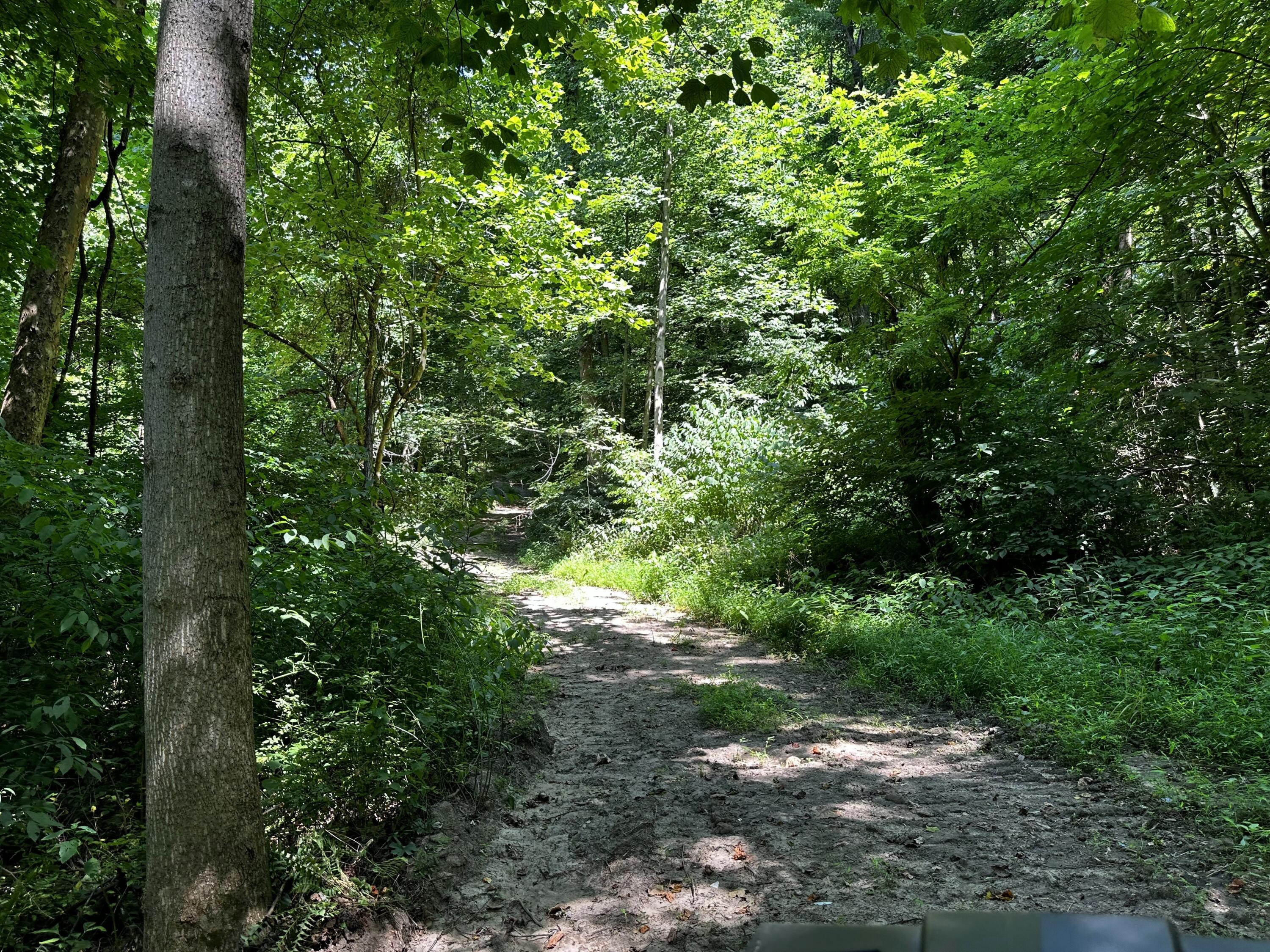 0 Parkinson Road, (tract 6 At Titus) Property Photo 28