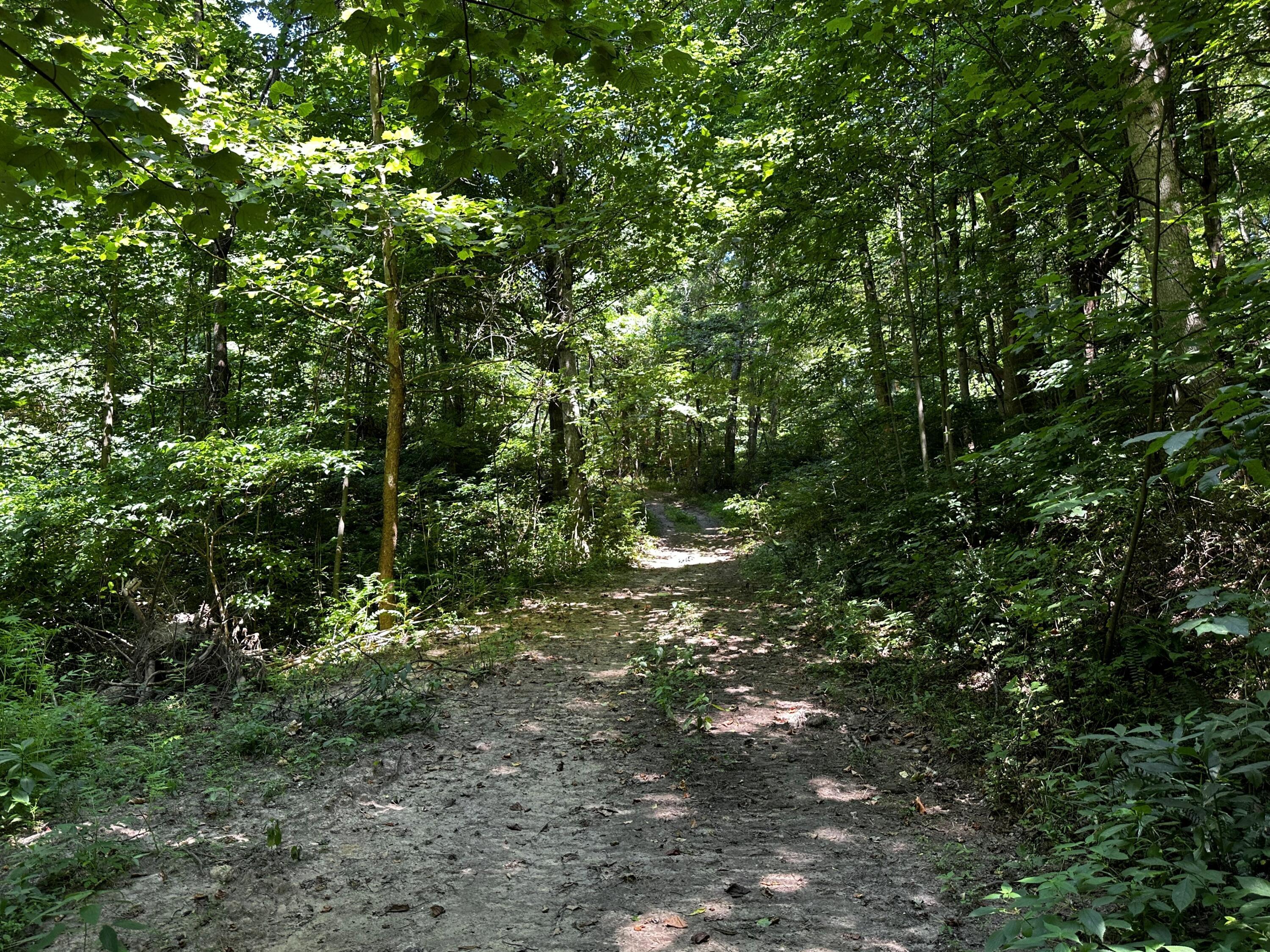 0 Parkinson Road, (tract 6 At Titus) Property Photo 29