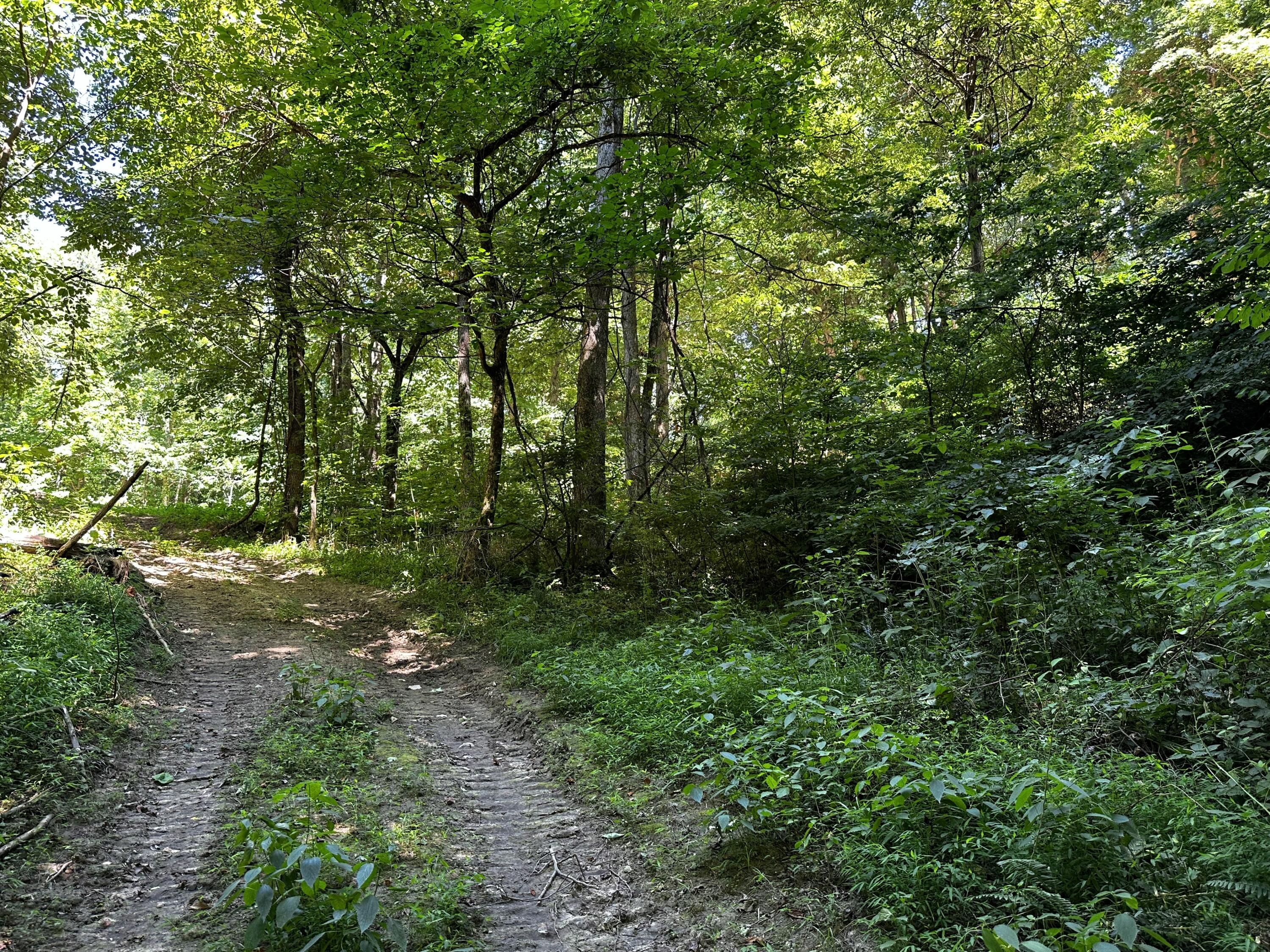 0 Parkinson Road, (tract 6 At Titus) Property Photo 30