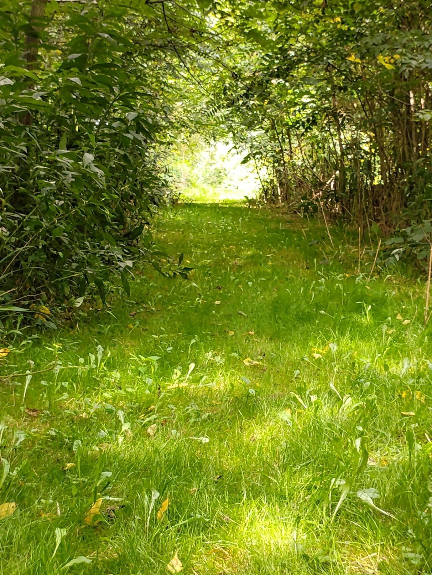 9 Shurr Street Property Photo 4