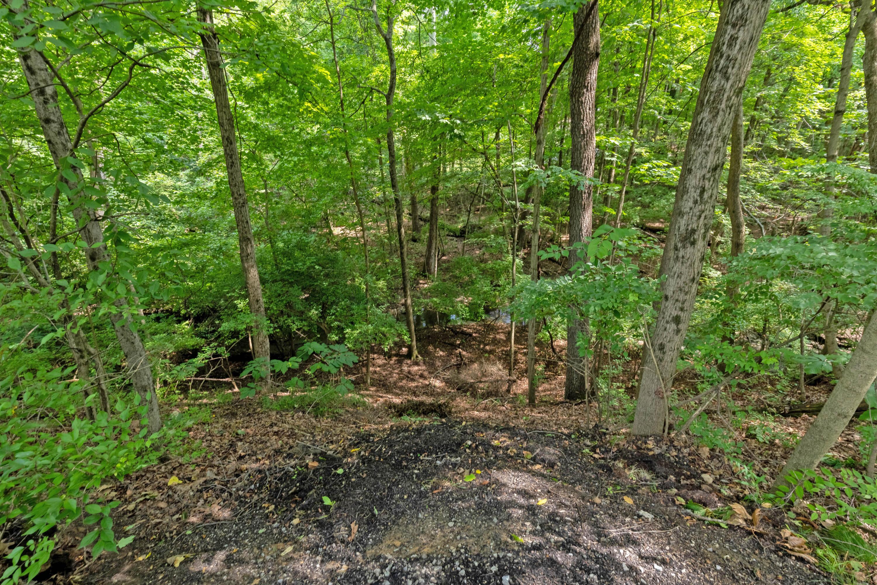 5000 Slate Run Woods Court Property Photo 108