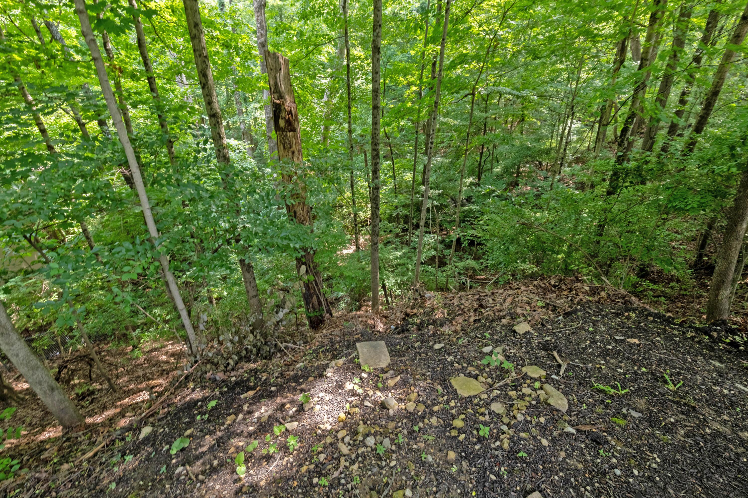 5000 Slate Run Woods Court Property Photo 109