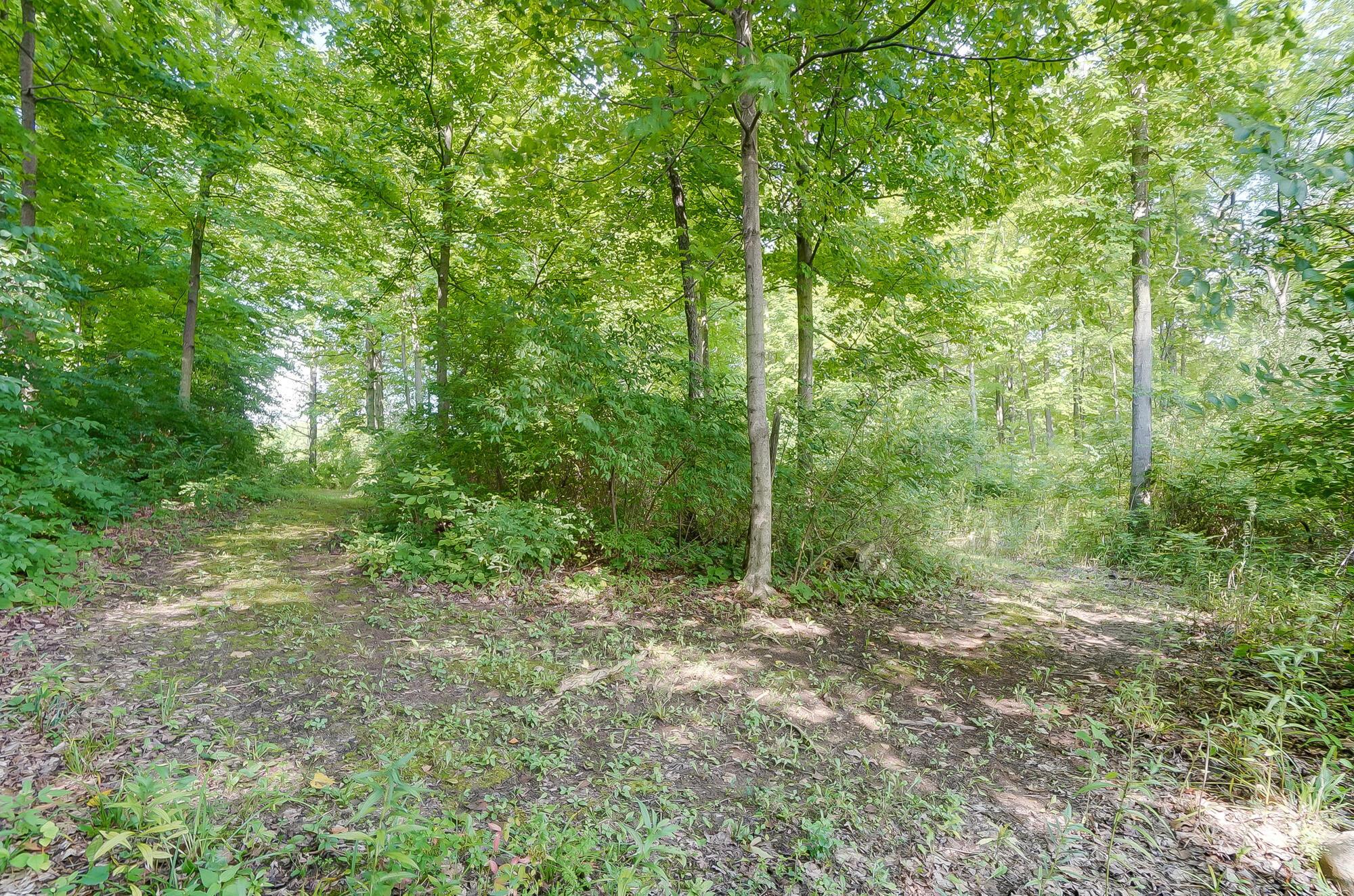 1026 George Allen Drive Property Photo 24