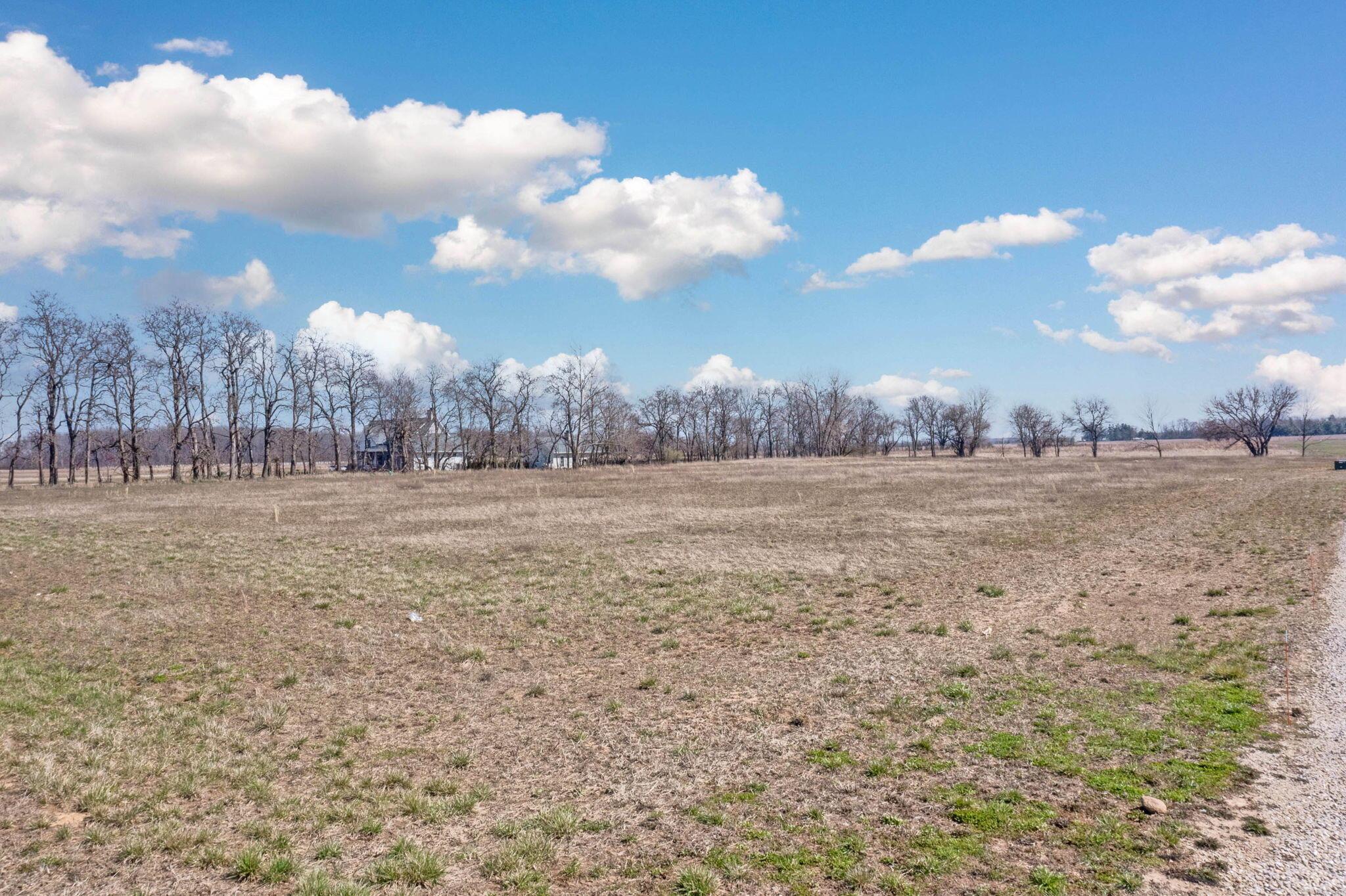 8777 Hayden Run Road Property Photo 13