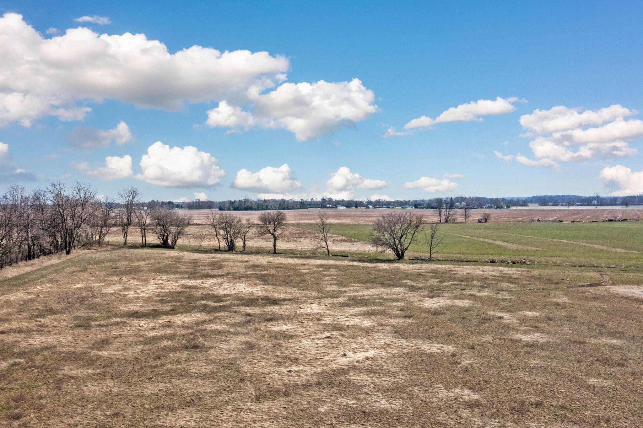 8777 Hayden Run Road Property Photo 15