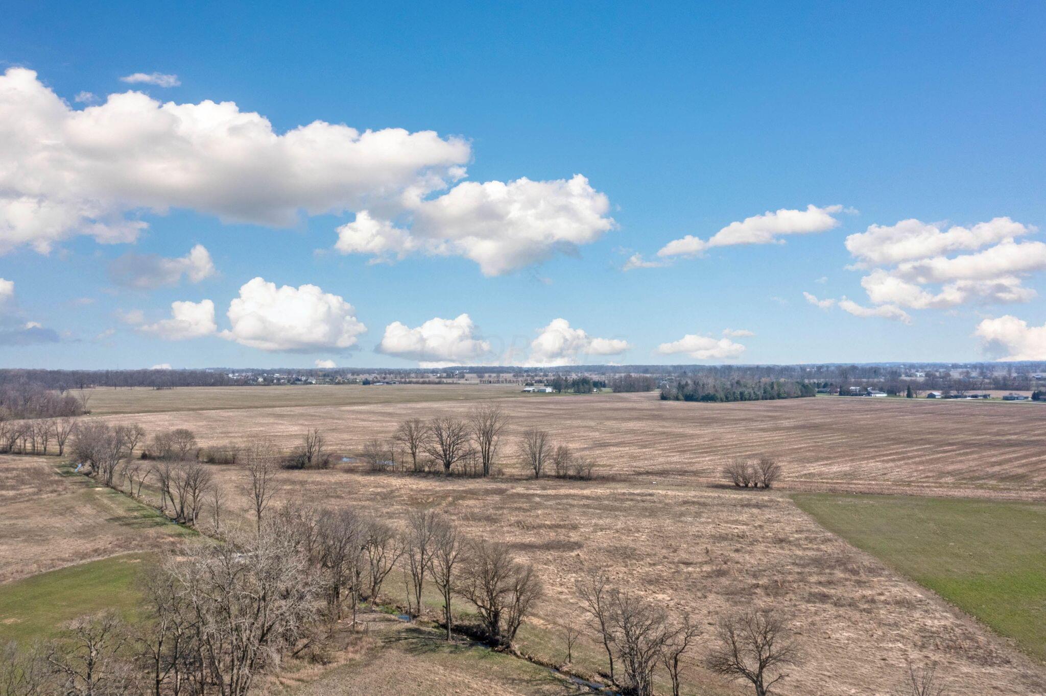 8777 Hayden Run Road Property Photo 16