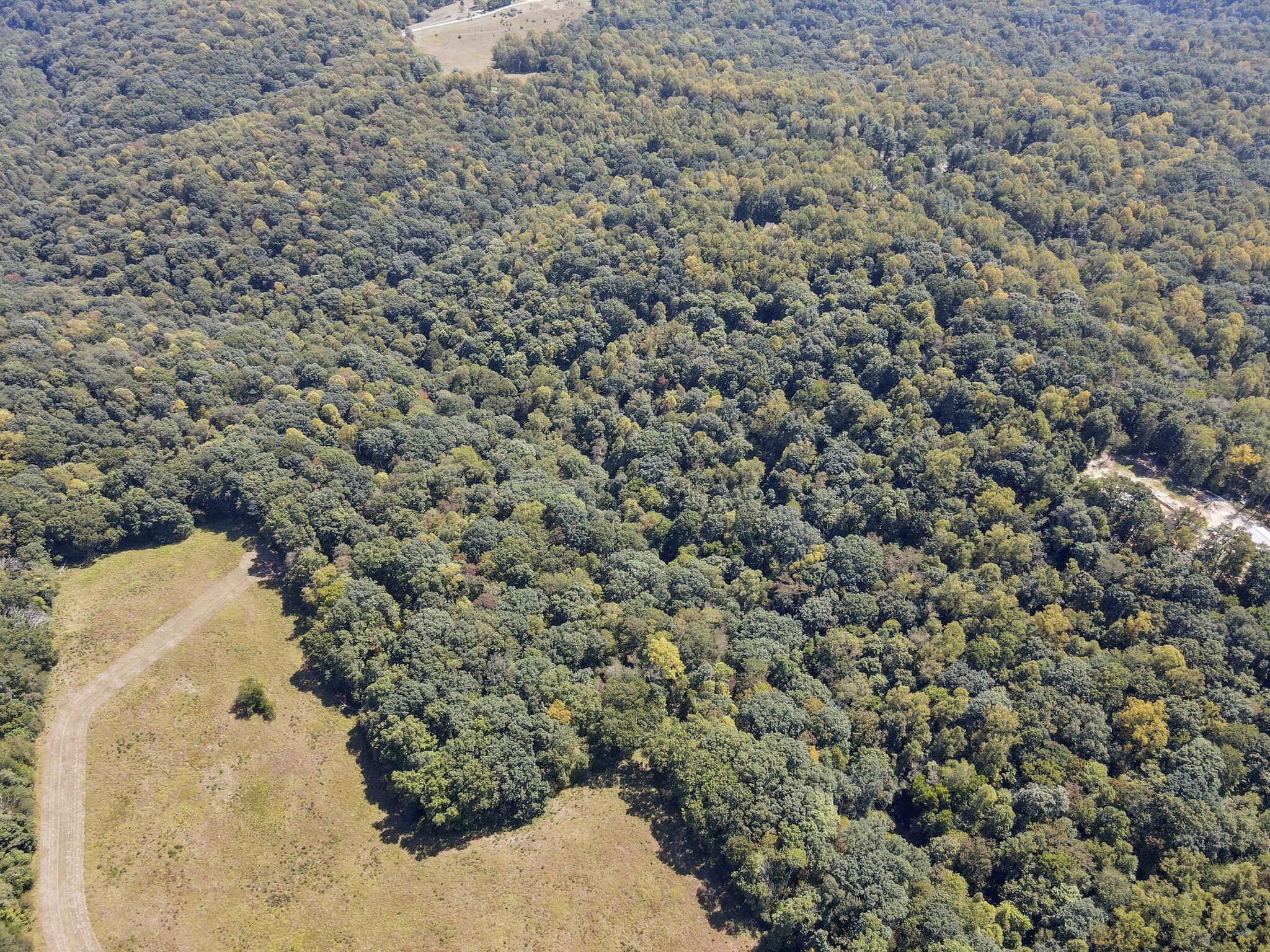 25242 Amerine Road Property Photo 73