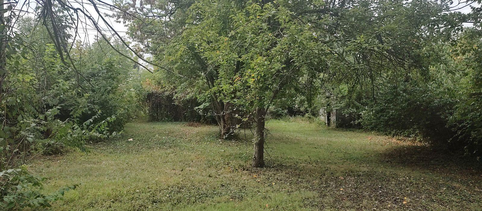 1485 Norma Road Property Photo 16