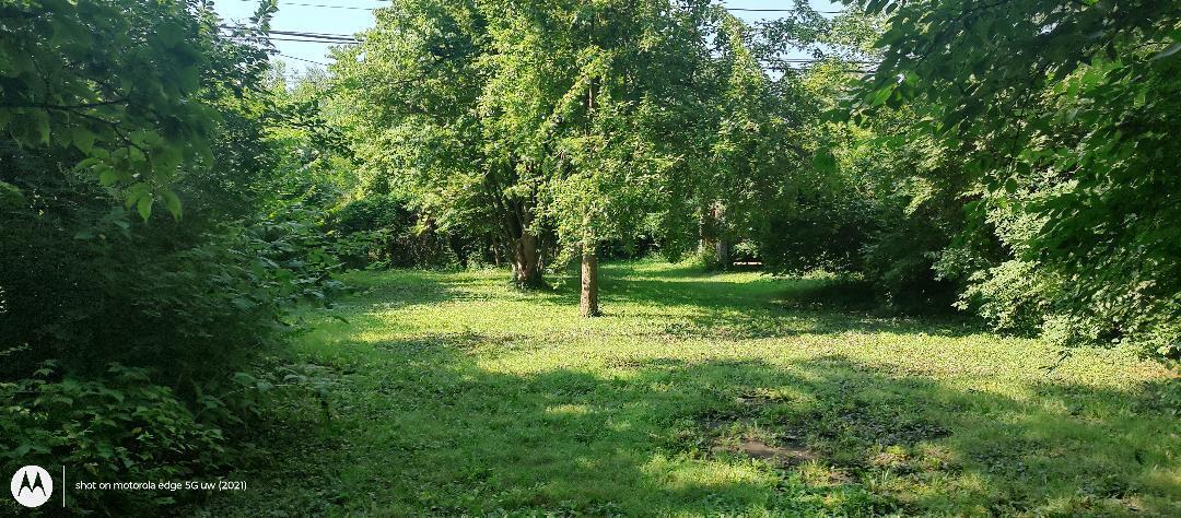1485 Norma Road Property Photo 16