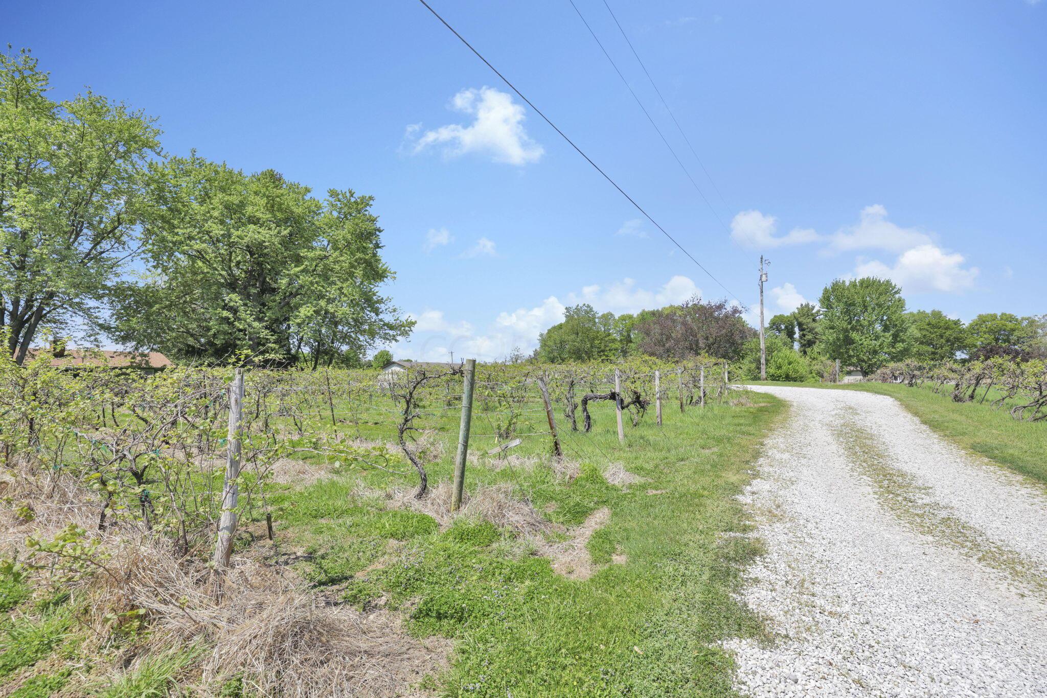 1900 Winchester Southern Road, Unit B Property Photo 42