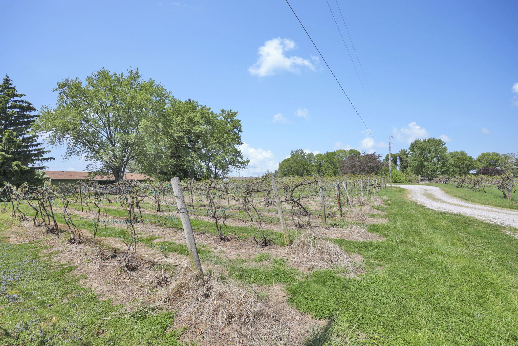 1900 Winchester Southern Road, Unit B Property Photo 43