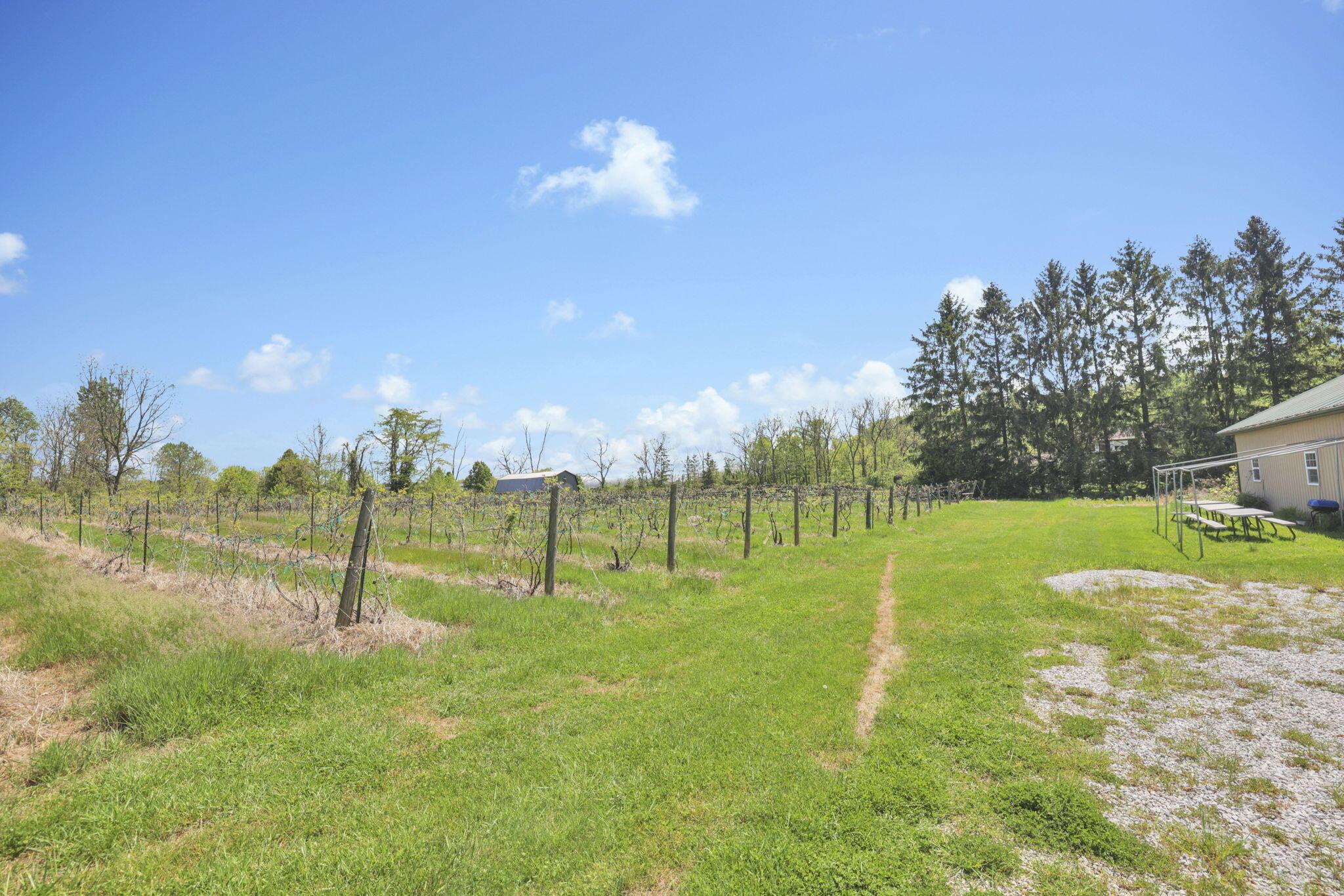 1900 Winchester Southern Road, Unit B Property Photo 44
