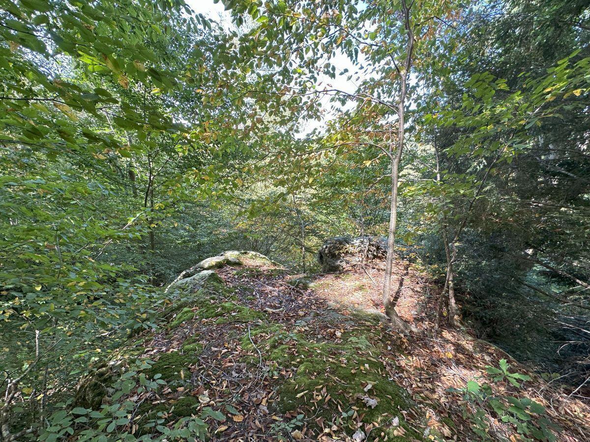 21626 Chilcote Road Property Photo 93