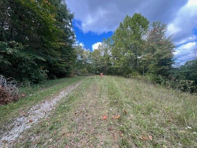 23875 Mathias Road Property Photo 35