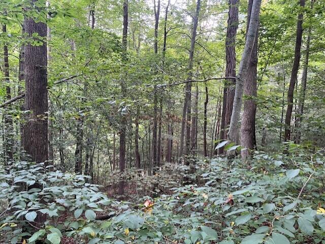 23875 Mathias Road Property Photo 41