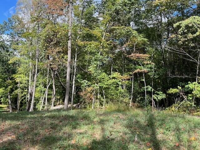 23875 Mathias Road Property Photo 49