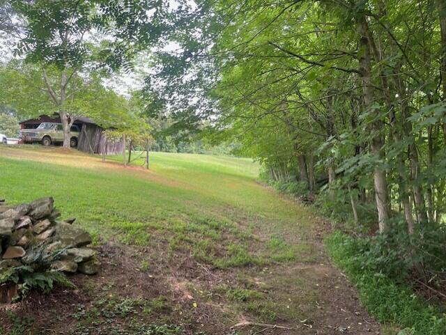 23875 Mathias Road Property Photo 4