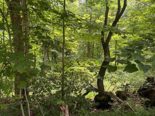 23875 Mathias Road Property Photo 5